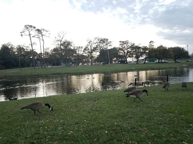 Hiller Park Recreation Area